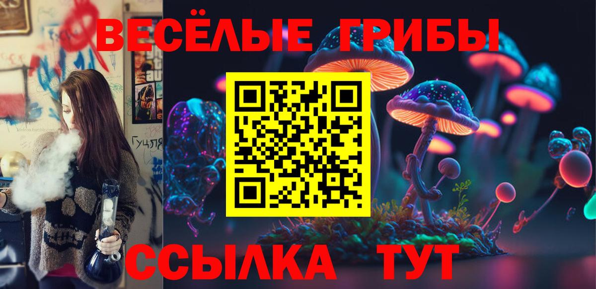 Псилоцибиновые грибы мицелий  что такое   Карпинск  Вход с VPN  Галлюциногенные грибы Psilocybine cubensis 